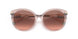 833413 - Pink - Pink Gradient Dark Brown