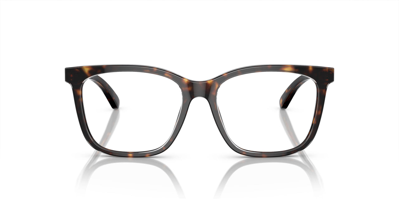 6052 - Tortoise