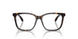 6052 - Tortoise