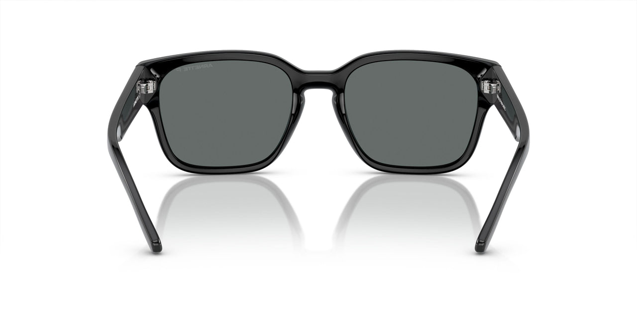 291081 - Black - Polarized Dark Grey