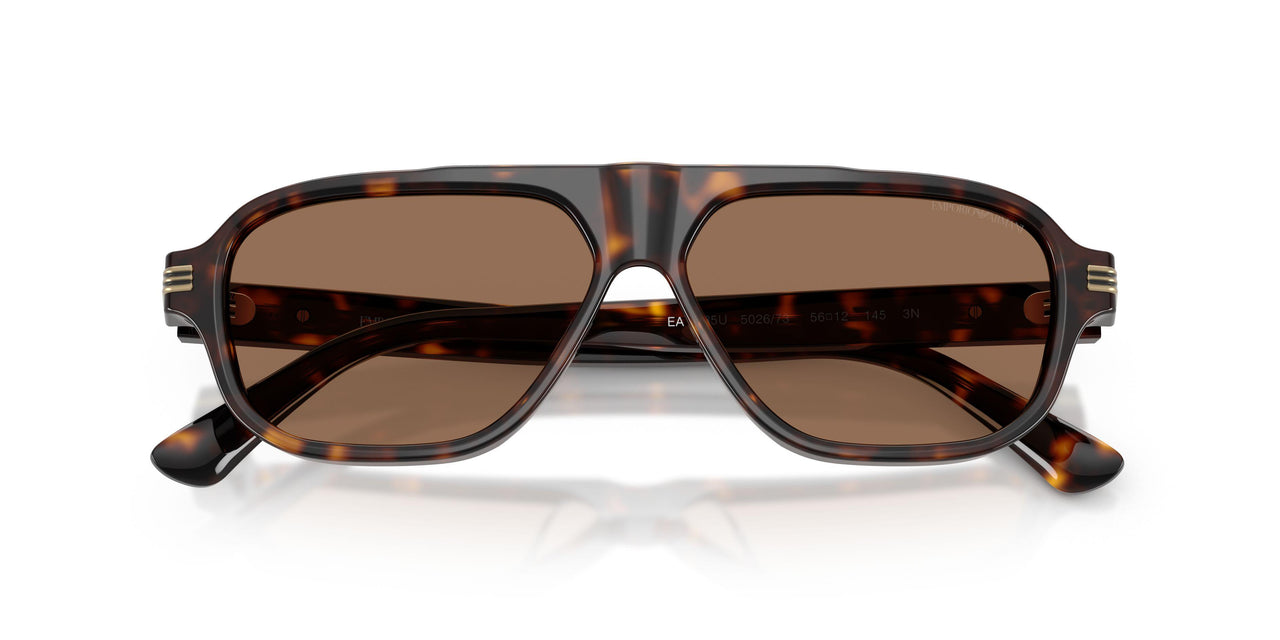 502673 - Tortoise - Dark Brown