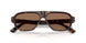 502673 - Tortoise - Dark Brown