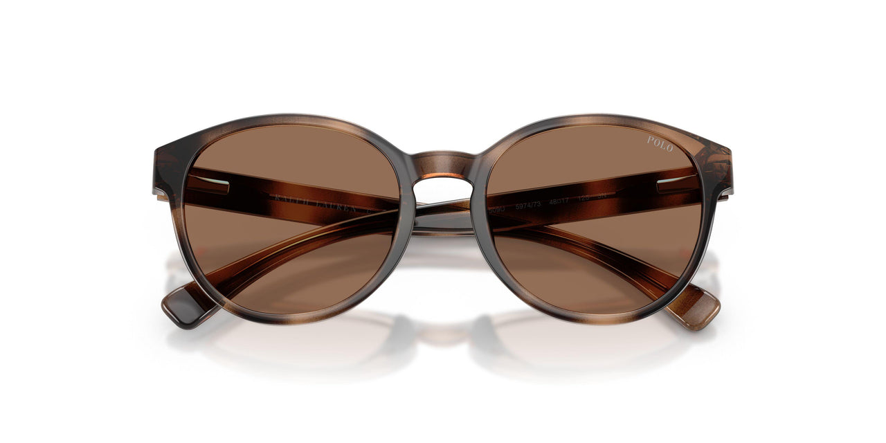 597473 - Tortoise - Dark Brown