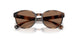 597473 - Tortoise - Dark Brown