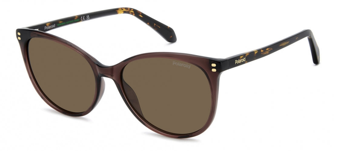 09QSP-SP - BROWN