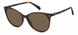09QSP-SP - BROWN