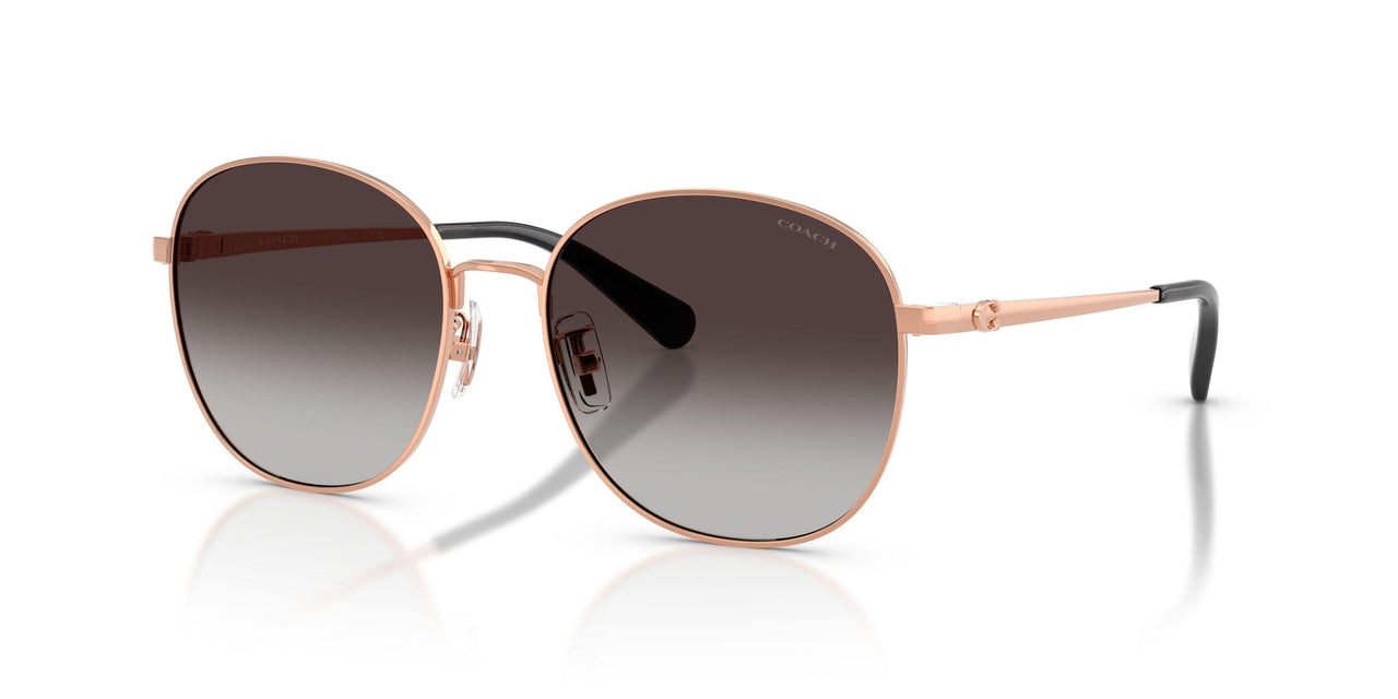 Coach Cdp39 7189 Sunglasses