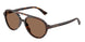 Jimmy Choo 5055U Sunglasses