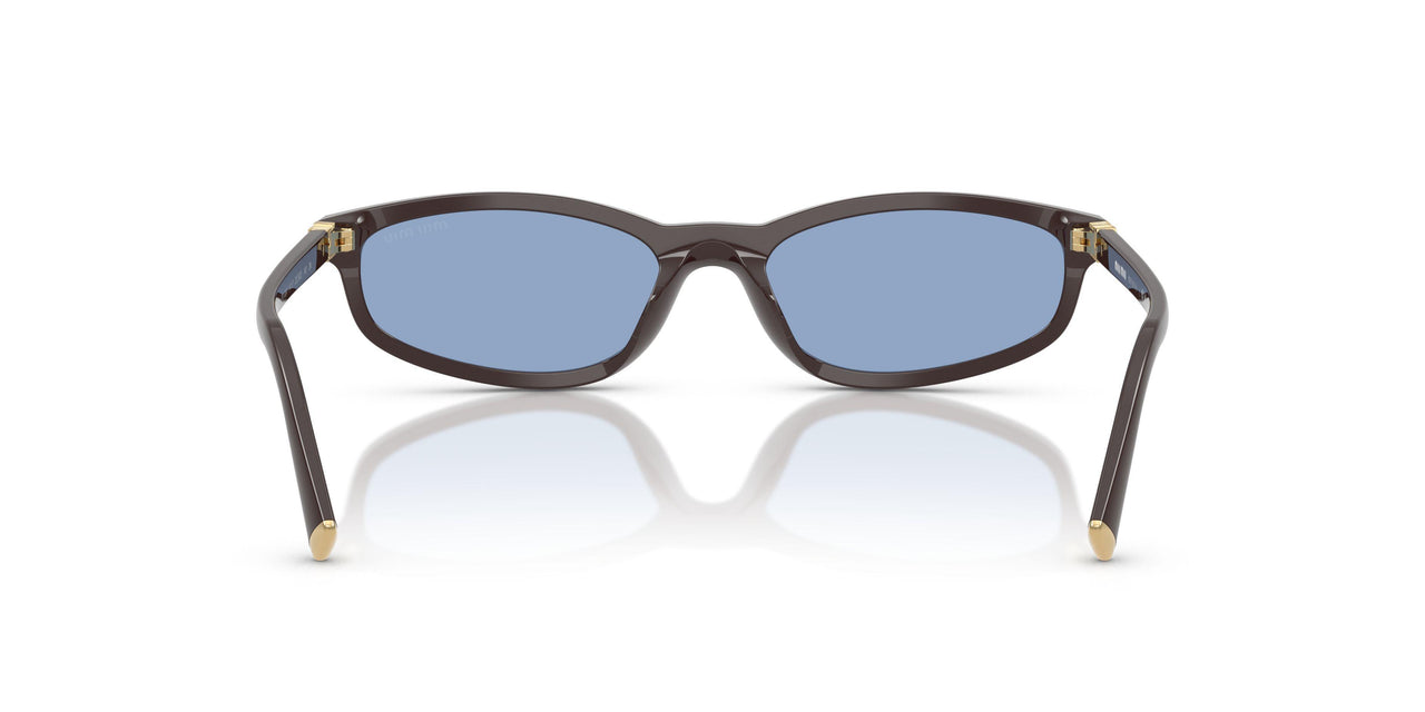 22C60O - Brown - Light Blue