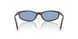 22C60O - Brown - Light Blue