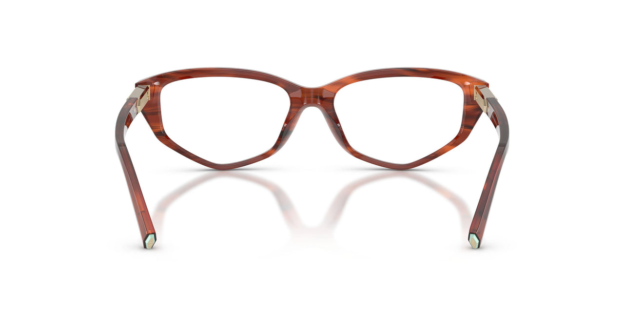 8440 - Tortoise