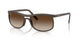 612413 - Brown - Gradient Brown