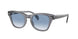 66413F - Grey - Clear Gradient Blue