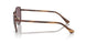 1124AF - Brown - Dark Violet Polar