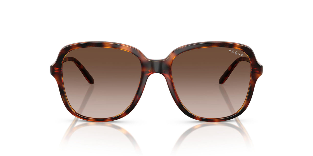 W65613 - Brown - Gradient Dark Brown