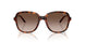 W65613 - Brown - Gradient Dark Brown