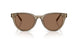 505173 - Brown - Dark Brown