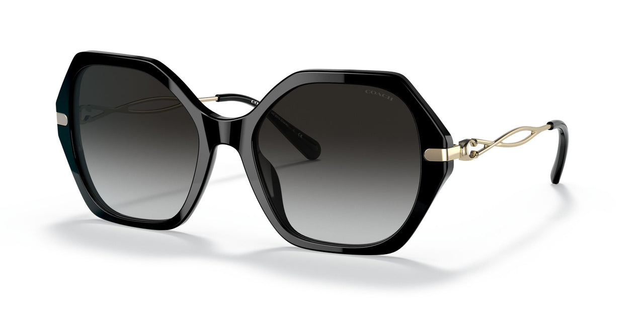 50028G - Black - Grey Gradient