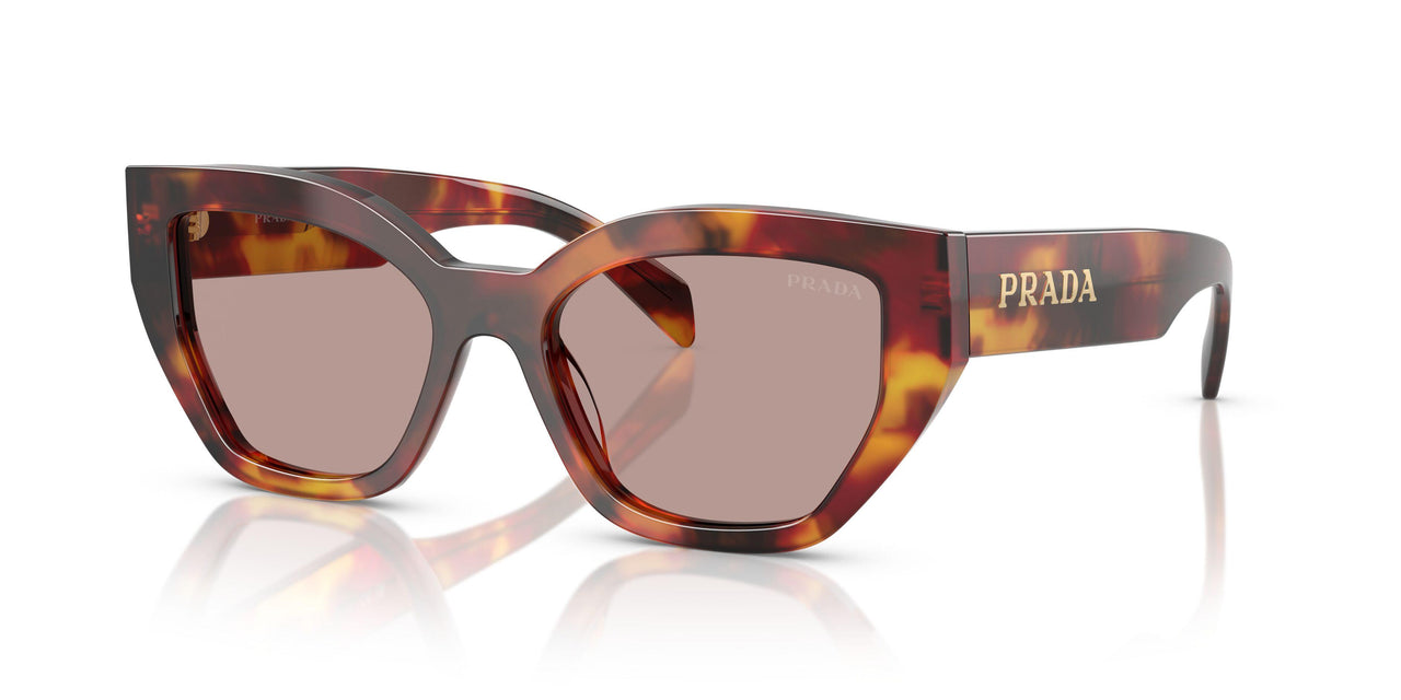 22A20I - Tortoise - Light Purple Brown