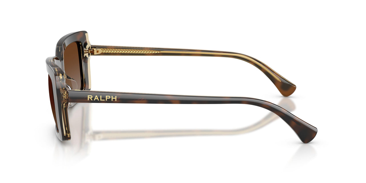 6294T5 - Tortoise - Brown Gradient Polarized