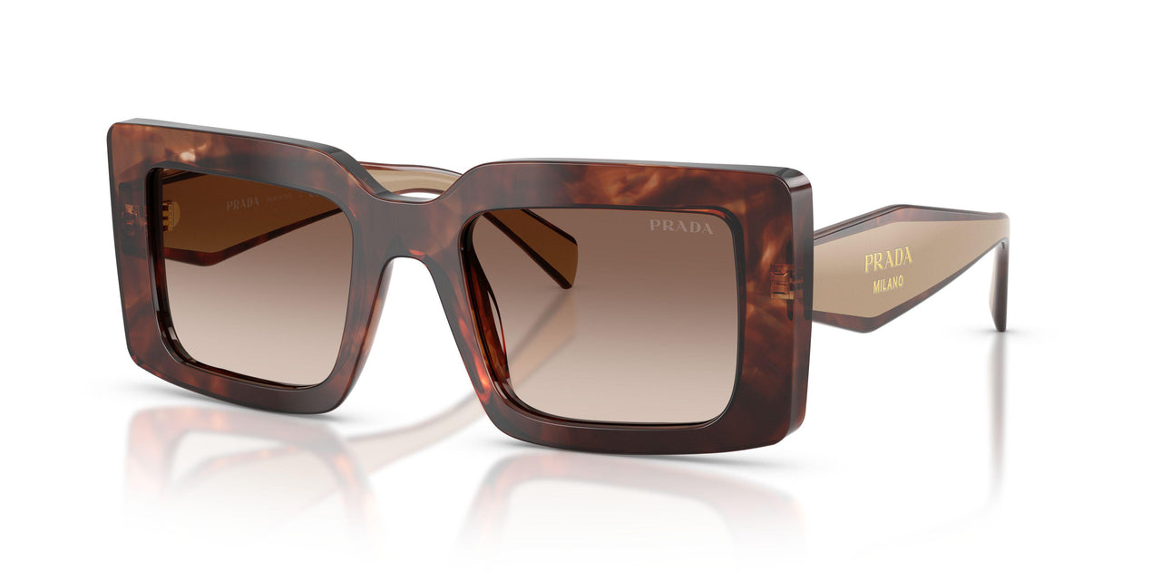 00K10S - Tortoise - Brown Gradient