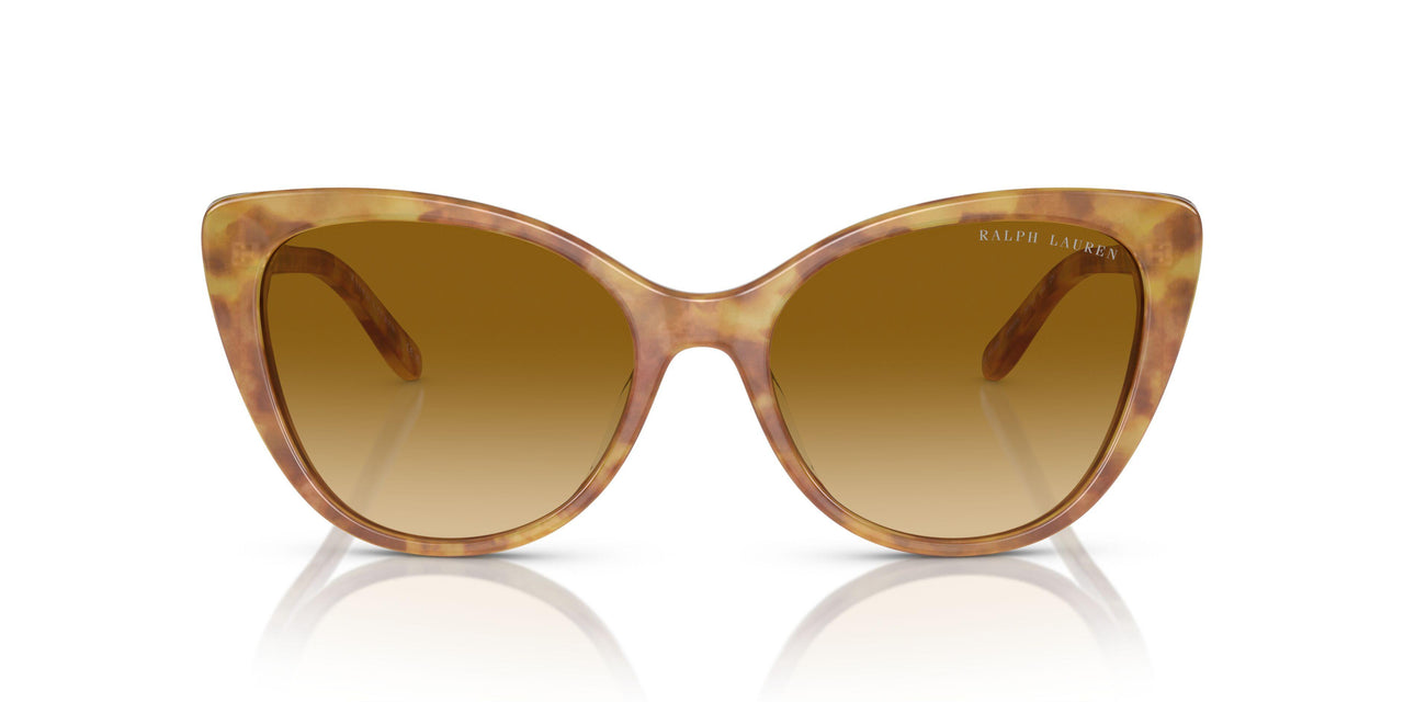 60832L - Tortoise - Gradient Yellow