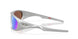 952807 - Grey - Prizm Deep Water Polarized
