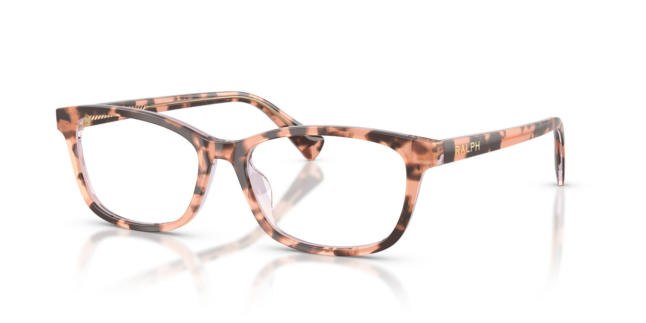 6295 - Tortoise