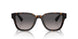 19J09G - Tortoise - Polarized Grey Gradient