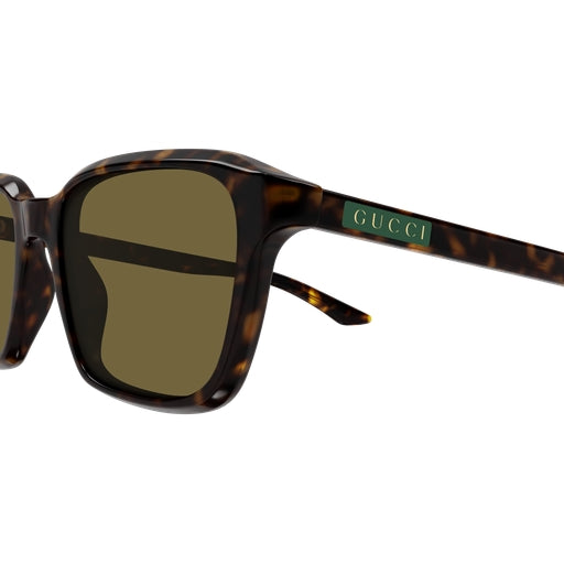 002 - Havana - Brown