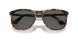 1102B1 - Tortoise - Polar Black