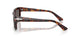 24/B1 - Tortoise - Dark Grey