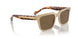 W90073 - Brown - Dark Brown
