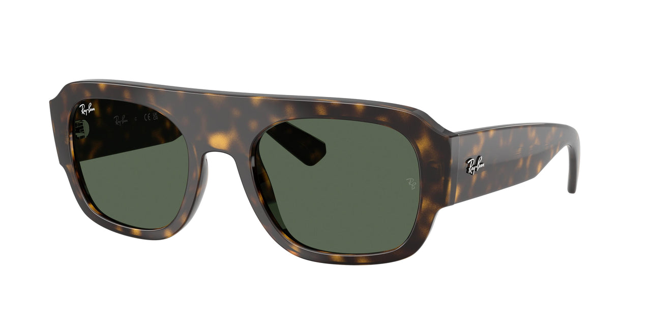 Ray-Ban 2218 Sunglasses