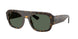 679071 - Tortoise - Green