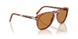 96/73 - Brown - Light Brown