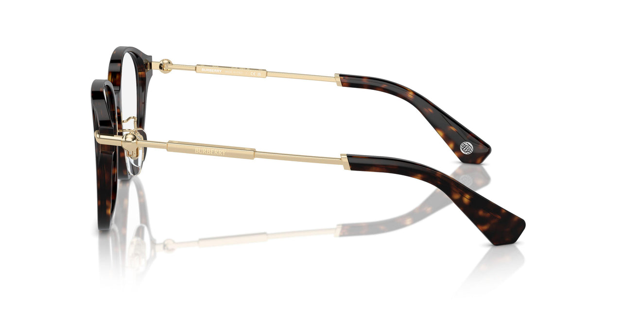 3002 - Brown