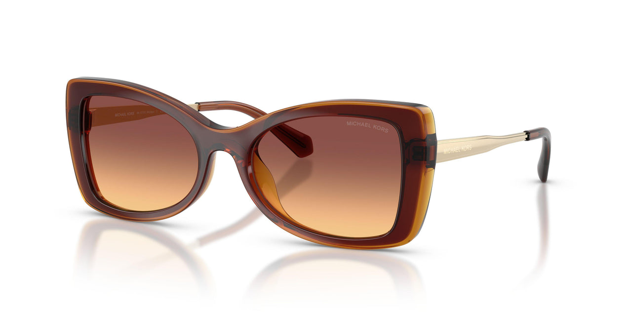 311378 - Brown - Brown Gradient