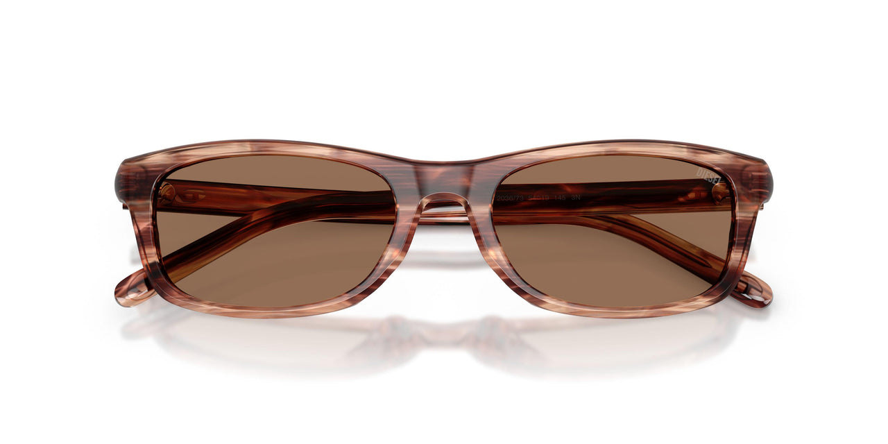 203673 - Brown - Dark Brown