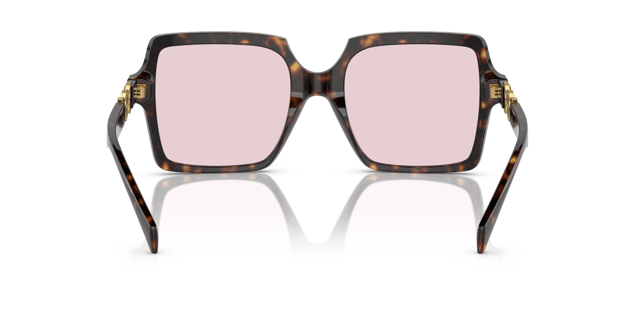 108/P5 - Tortoise - Photo Pink