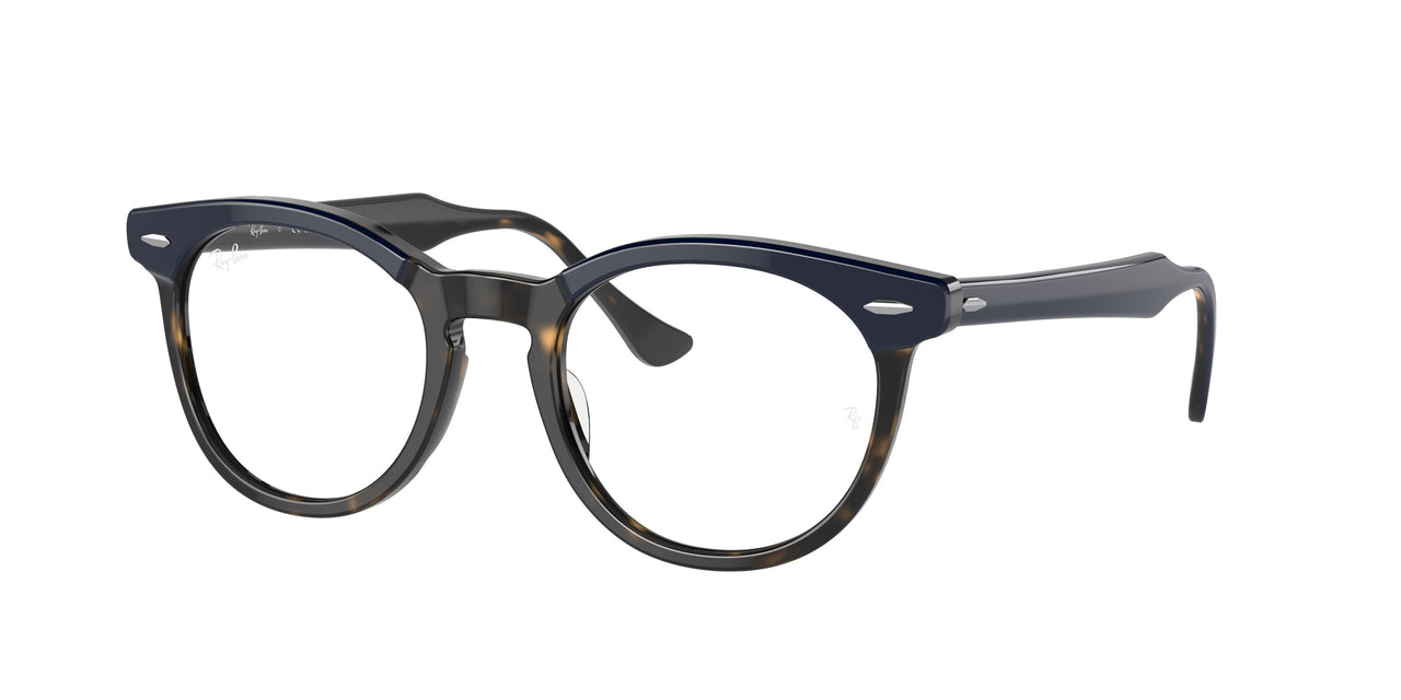 Ray-Ban Eagleeye 5598 Eyeglasses