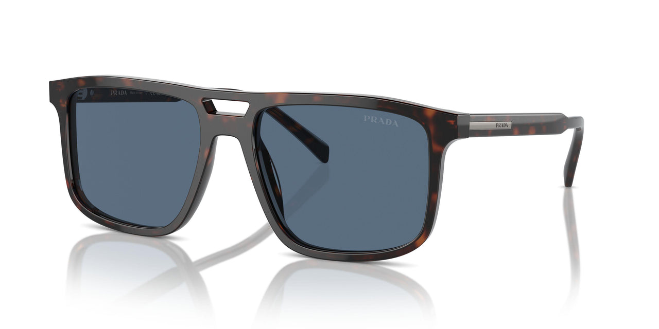 17N06A - Tortoise - Dark Blue