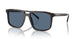 17N06A - Tortoise - Dark Blue