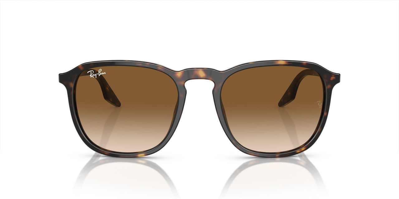 902/51 - Tortoise - Clear/brown