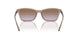 294068 - Brown - Violet Gradient Brown