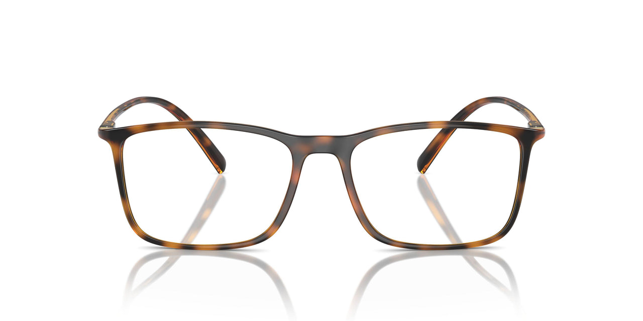 5026 - Tortoise