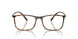 5026 - Tortoise