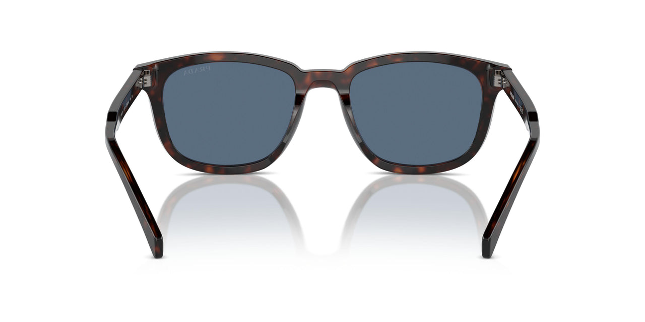 17N06A - Tortoise - Dark Blue
