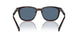 17N06A - Tortoise - Dark Blue