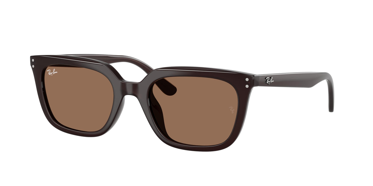 Ray-Ban 4439D Sunglasses